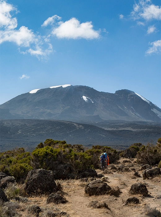 About Walete Expedition
