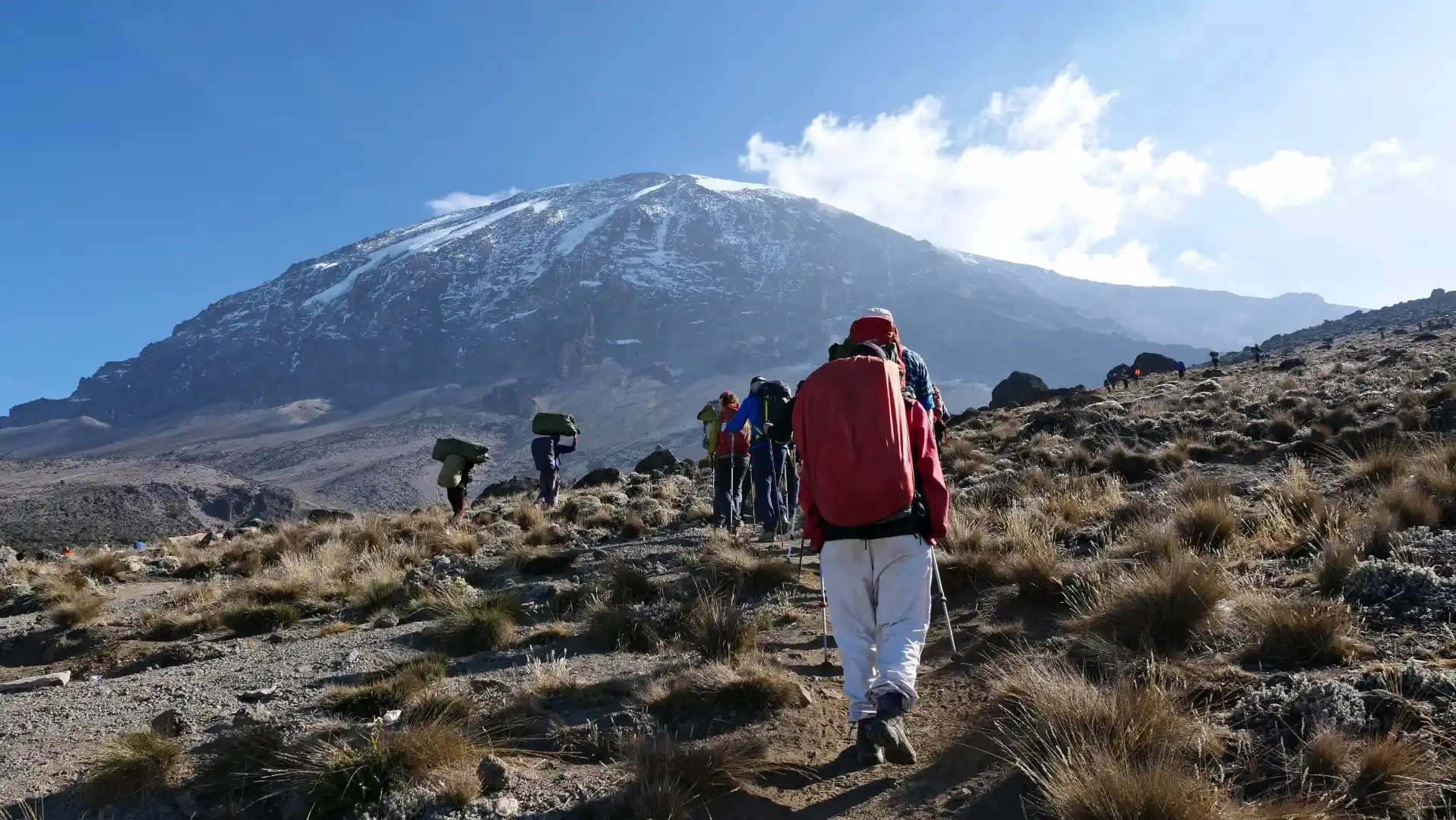 Lemosho Route, 7 Days