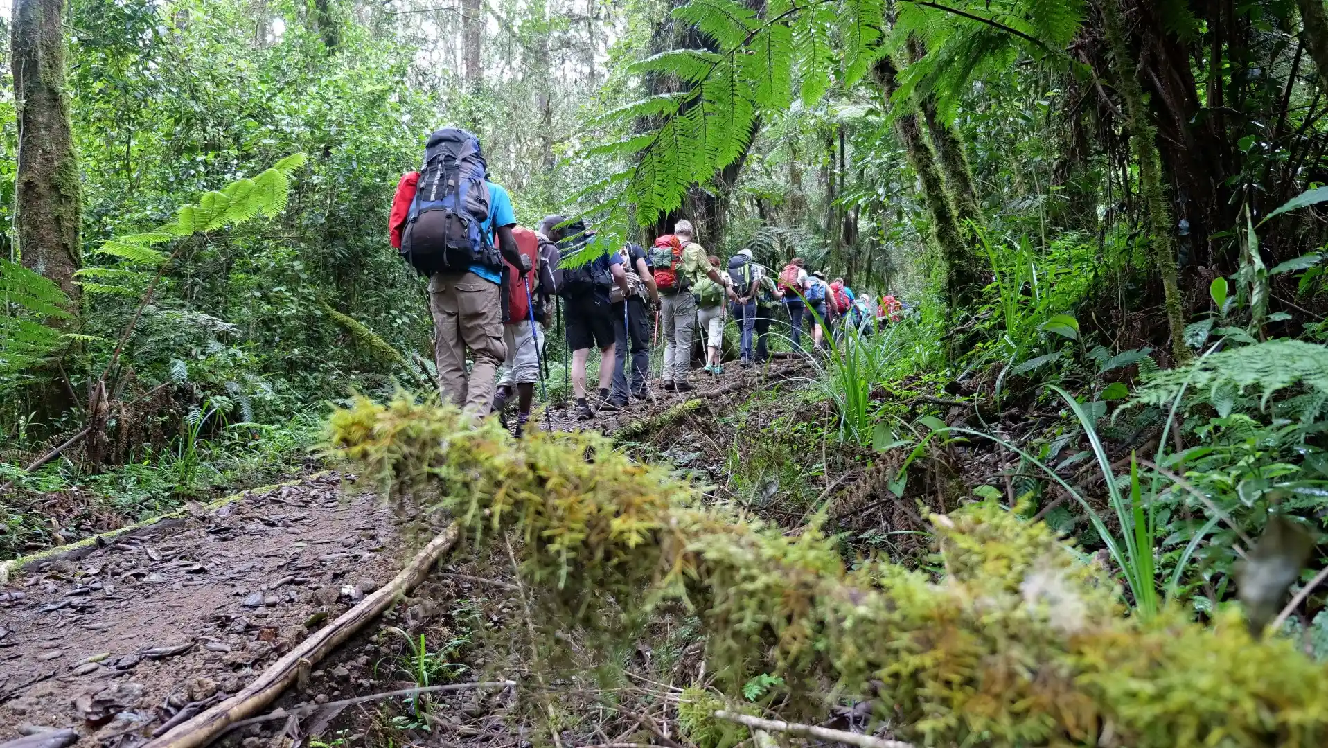 Machame Route, 6 Days