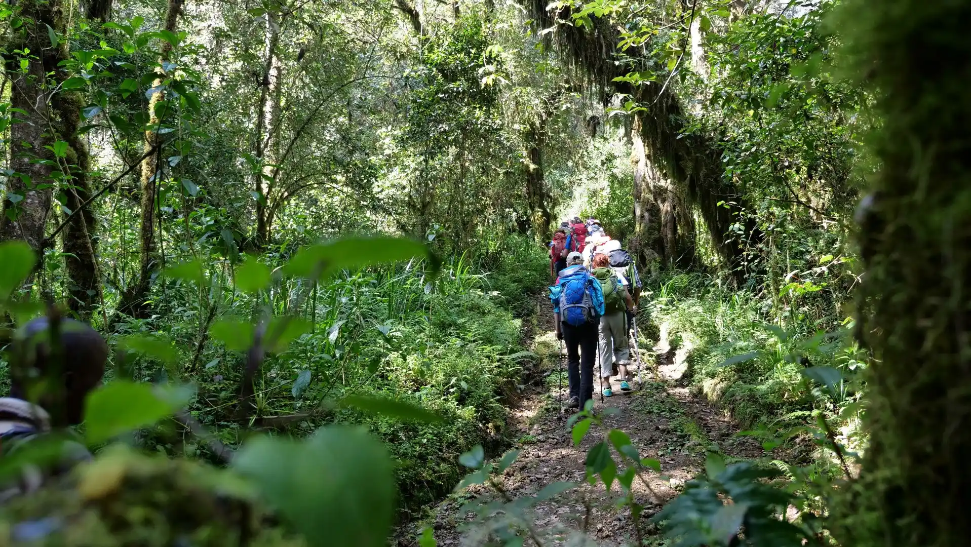 Marangu Route, 5 Days