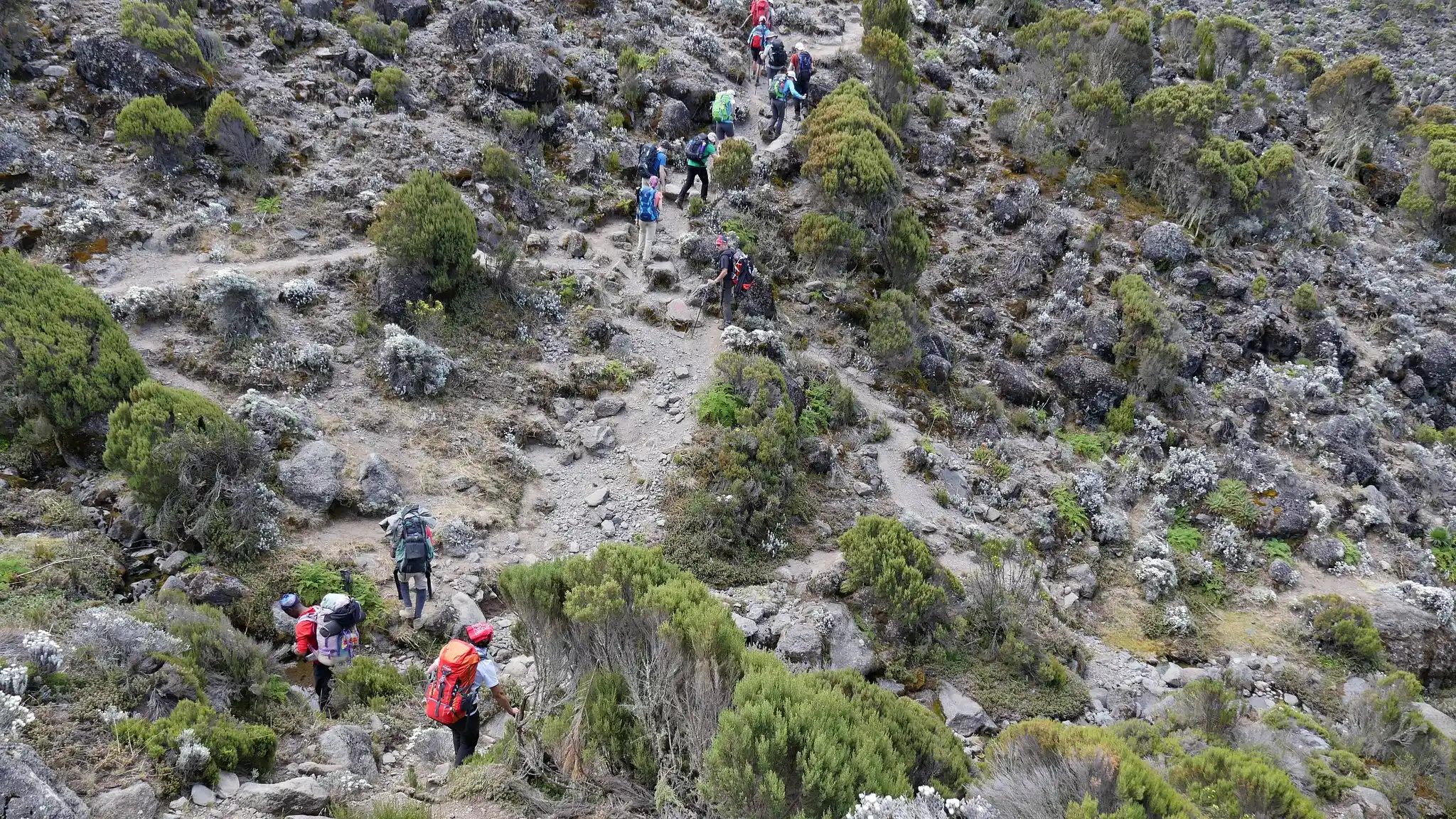 Shira Route, 8 Days