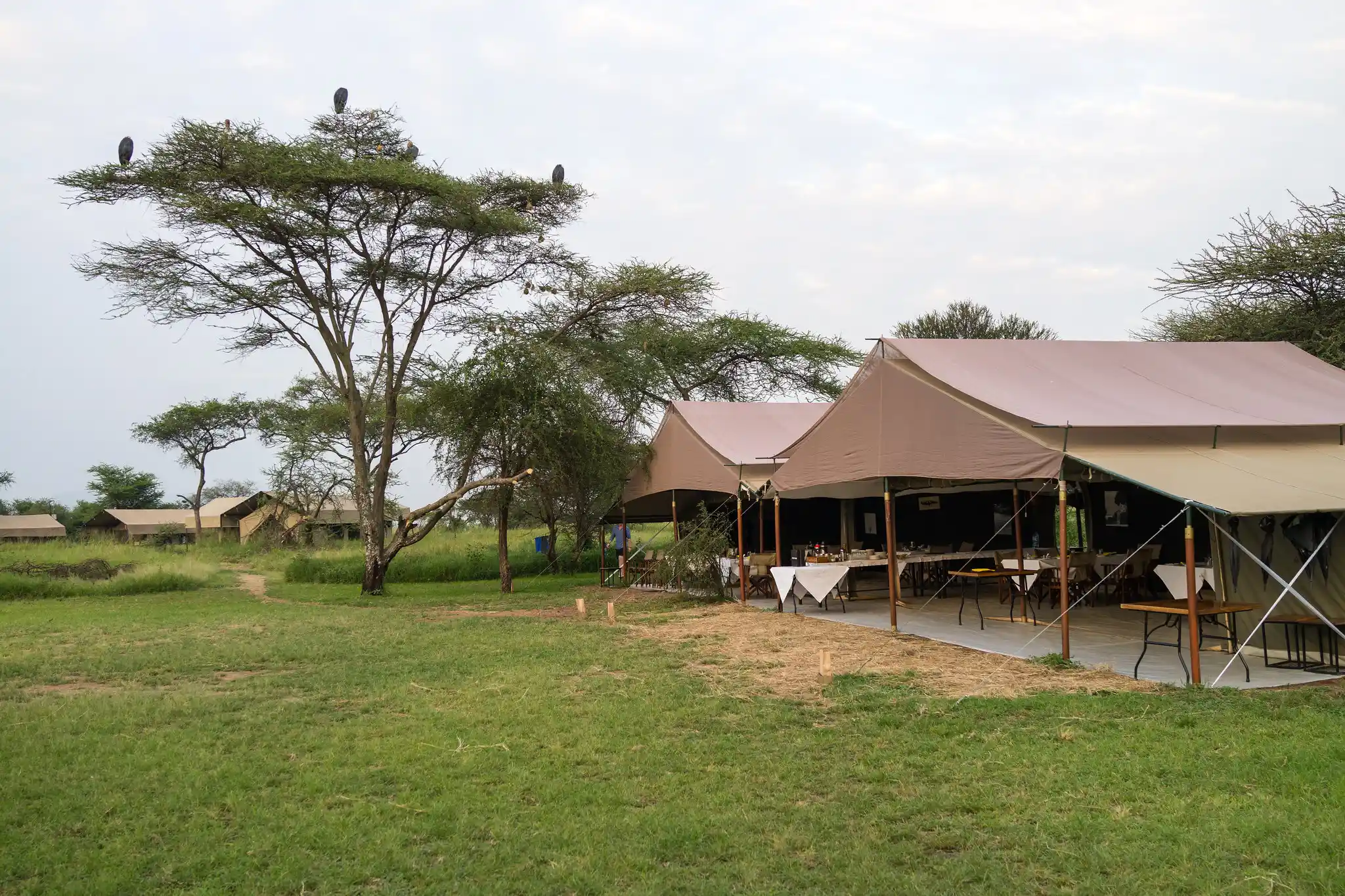Tanzania Camping Safari 4 Days 3 nights