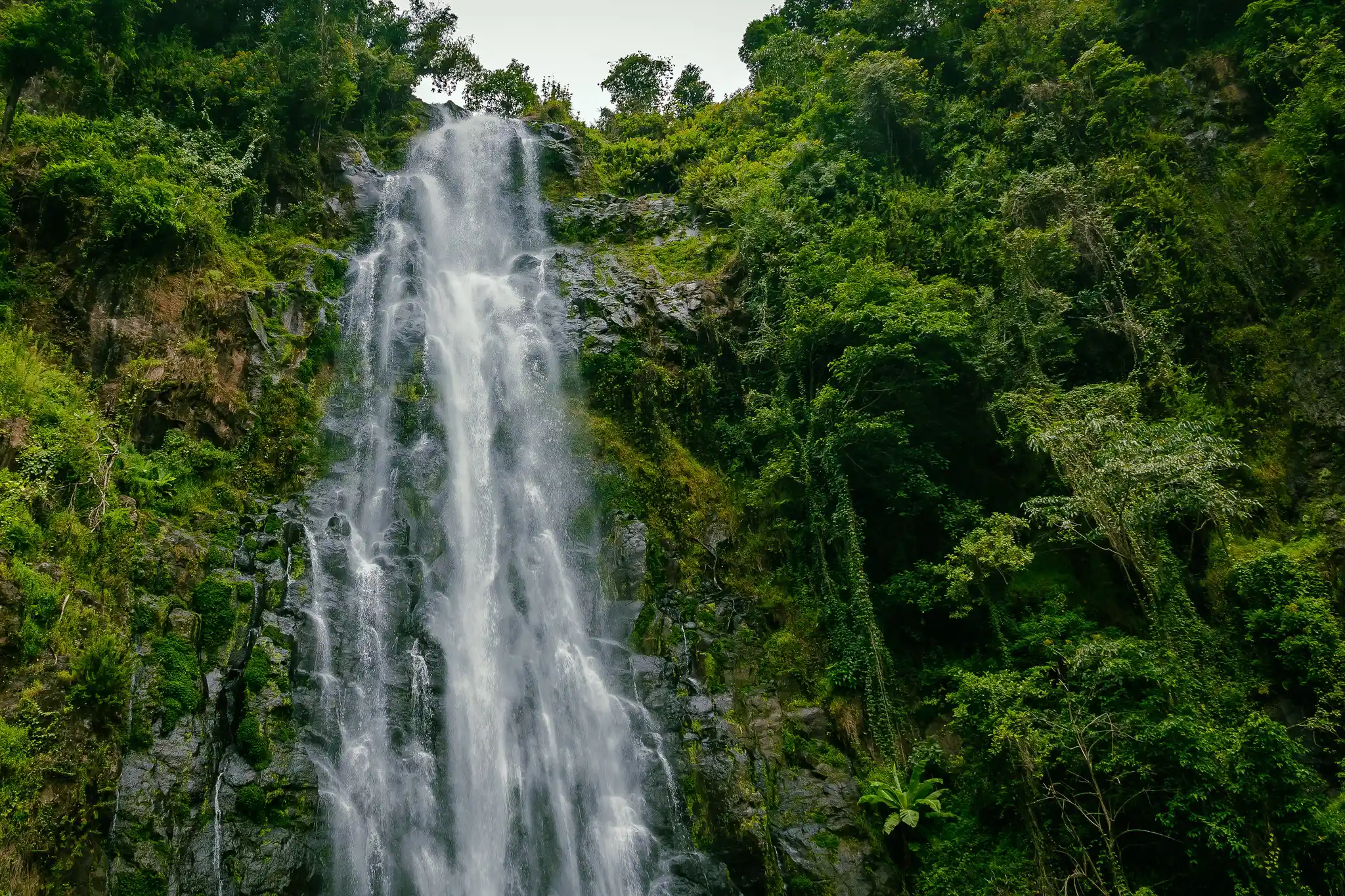 Water Falls
